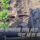 모성 이미지