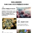 하우스위프_