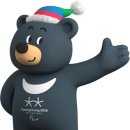 거제반다비체육센터수영장 이미지