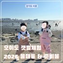 서울근교 갯벌체험 오이도 갯벌체험 물때표 준비물 총정리