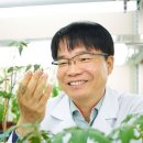 김재연 카카오 검색결과