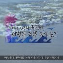 365행복케어 네이버블로그