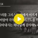 08. 고린도후서(2 Corinthians) 이강민 아나운서 이미지