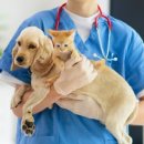 수성동물병원 이미지