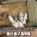 울산 가볼만한곳 울산테마식물수목원,동물생태관 방문 후기