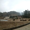 곡성-238 Daum카페