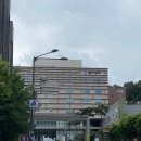 홍루이젠 세곡점 | [ 토익 - 풍문고 후기 & 홍루이젠 강남세곡점]