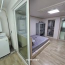 아이비303 이미지