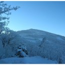 금강산 산악회 제 434차 정기산행 강원 태백 함백산 (1.573m)(마감) 이미지