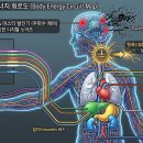 제1화 이미지