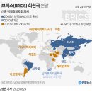 브릭스 이미지