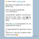동유럽 자유여행 세미패키지 트래블비아 내돈내산 후기 및 만족 포인트 5