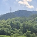 월송멕시카나 이미지