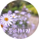 경복궁평촌점(주)엔타스 이미지