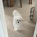 순독살롱 이미지