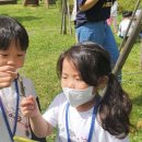 근화어린이집 이미지