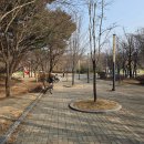 솔마루 작은도서관 이미지