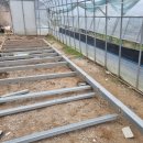 진안산소 이미지