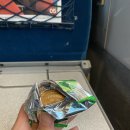 남원-인월-비상-001 | [2024년 4번째 탐어기행/경남 산청]-사실상 흰수마자 채집 뒷풀이 채집이었던 여울마자 리턴매치 실패!