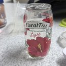 제로마트 | 대전 중리동 일성마트 제로 칼로리 탄산 제로 스파클링 탄산수 후기