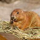 앵무새동물원 이미지