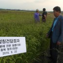 장양농장 이미지