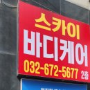 스카이바디케어 네이버블로그
