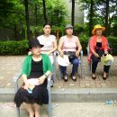 청림동-9 Daum카페