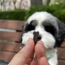 엠엔바이오 이미지