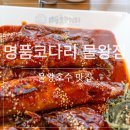 호수마을(중)(20493) | 물왕호수 맛집[명품코다리] 물왕점 코다리 맛집 점심특선 솔직 후기 가족 외식으로 추천