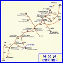 915 이미지