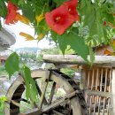 물레방아집 이미지