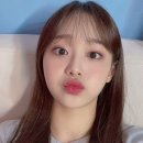 피브완 네이버블로그