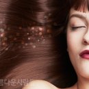 알헤어 이미지