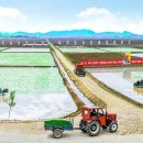 영도주단 이미지