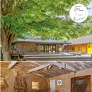 호랑이배꼽마을 이미지