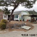 2019-주117 네이버블로그