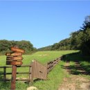 백두목장 이미지