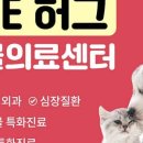 허그동물의료센터 이미지