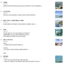 산호 A | [방콕] 파타야 산호섬 반일 투어 (오전/오후) 추천 - 방콕/파타야 출발