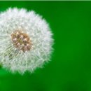 아이원안경원 이미지