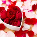 어니스트여성의원 이미지