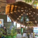 함덕생활 이미지