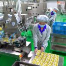 경리농장 이미지