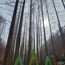 솔내음과 물소리 | 장태산 자연휴양림 겨울 숲도 매력적인 대전 가볼만한 곳