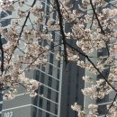 [광교요가]확실히 헬스랑 요가 다르네 광교중앙역 점심시간 요가학원