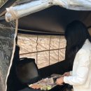 스테이담안 이미지