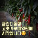 금잔디농원 이미지