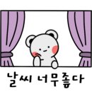마로니에 미니골프 이미지