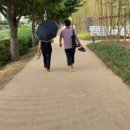 신대쌈지공원 네이버블로그